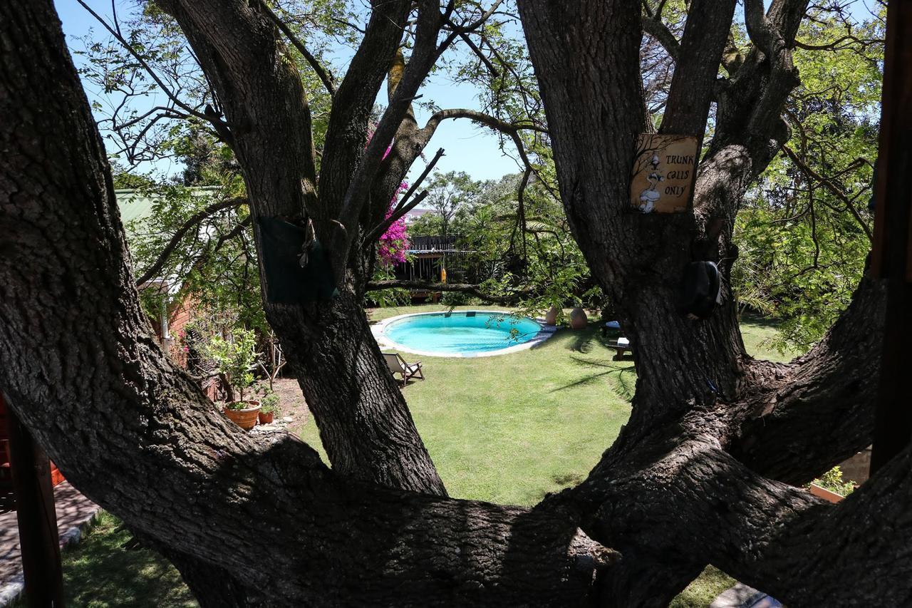 Hotel Goblin'S Creek St Helena Bay Exterior foto